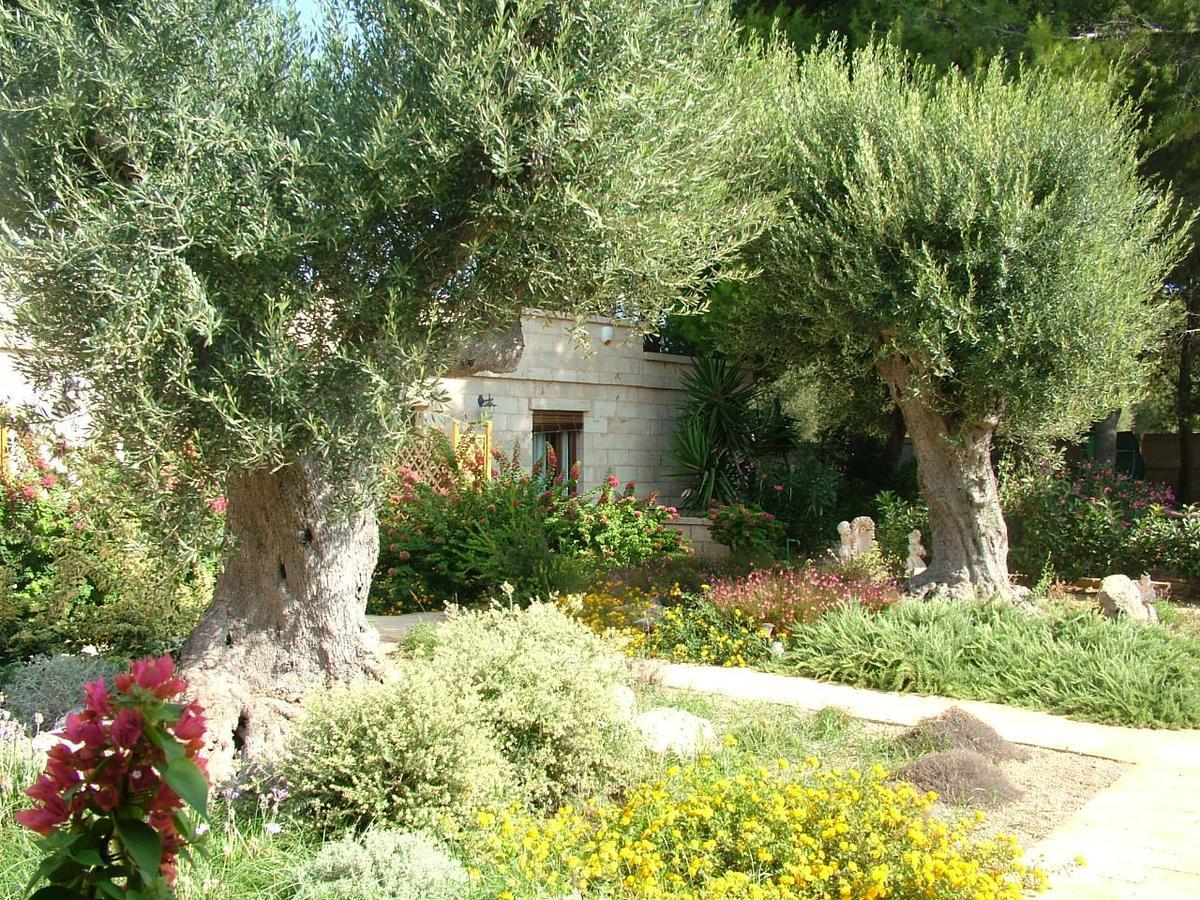 Villa Urania Torre San Giovanni Ugento Exterior photo
